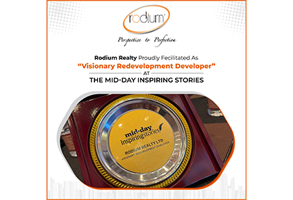 Visionary Redevelopment Developer